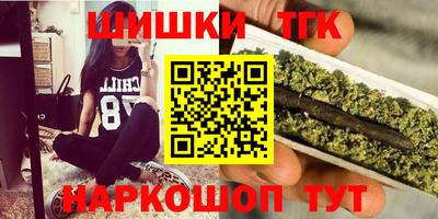 jwh Кингисепп