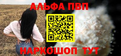 jwh Кингисепп