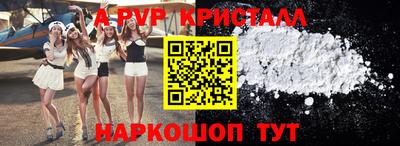 jwh Кингисепп