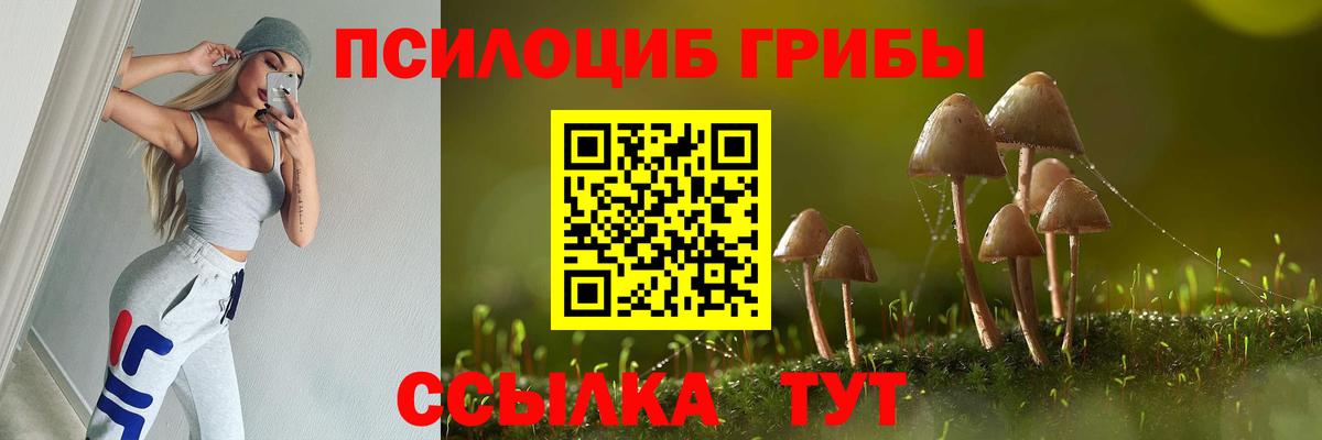 Домодедово  Галлюциногенные грибы прущие грибы  Вход с VPN  Галлюциногенные грибы ЛСД 